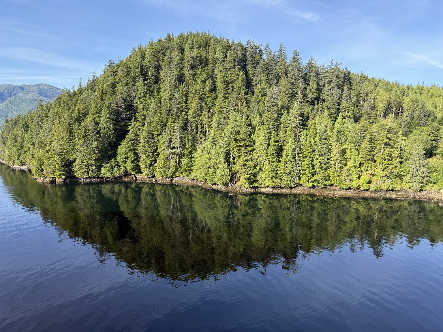 Forested Alaska shoreline reflected in calm water